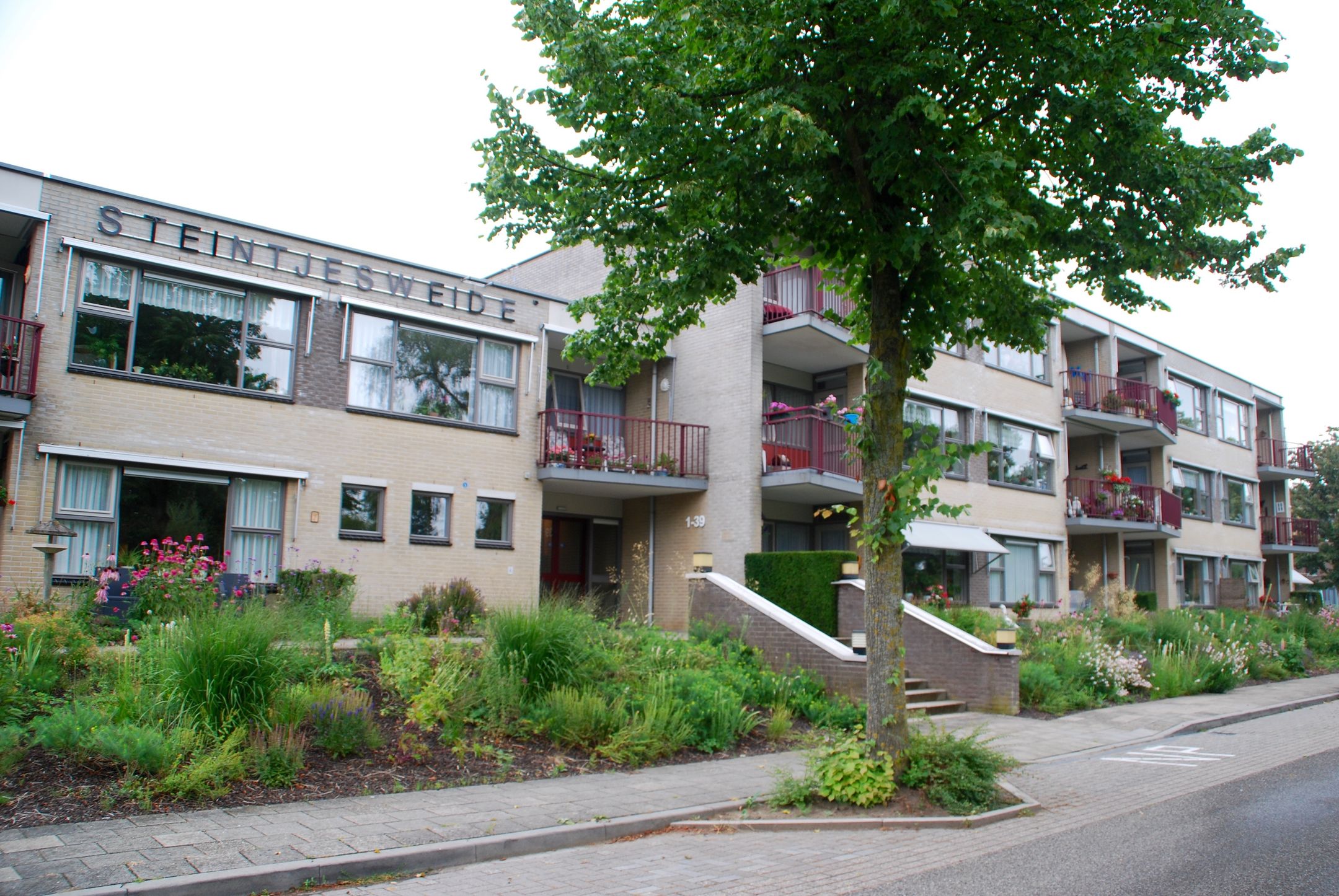 Steintjesweide 11 Hengelo (Gld)