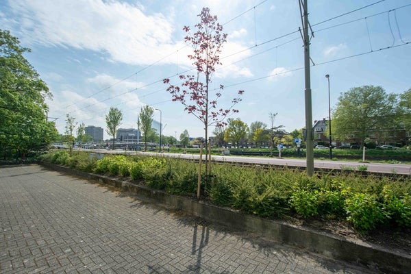 Delftweg Rijswijk