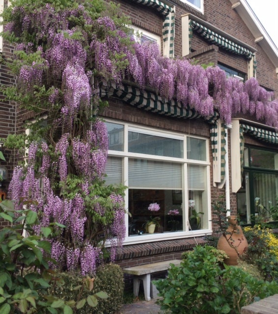 Laan van Sevenstar 18 Voorburg