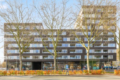 De Hoge Plataan Harderwijk