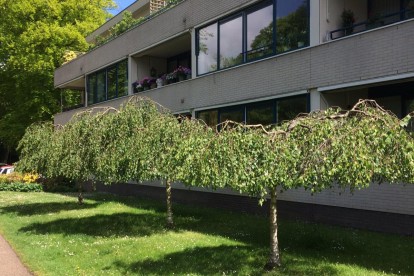 Werkdroger Laren