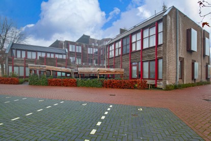 Geelgors te Nieuwegein Nieuwegein