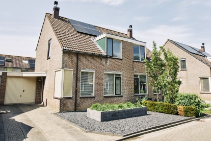 Ganzebloem, Havikskruid, Rolklaver Kampen