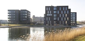 Ansjovislaan 253 Bergen op Zoom